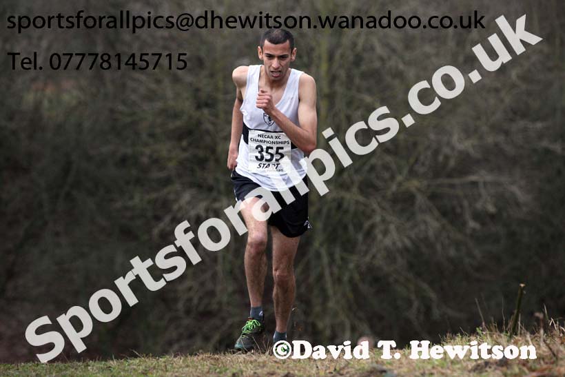 Senior mens North Eastern Cross Country, Aykley Heads, Durham. Photo: David T. Hewitson/Sports for All Pics